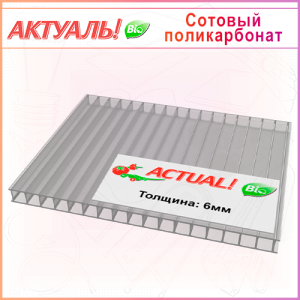 6мм сотовый поликарбонат АКТУАЛЬ БИО, прозрачный 6м